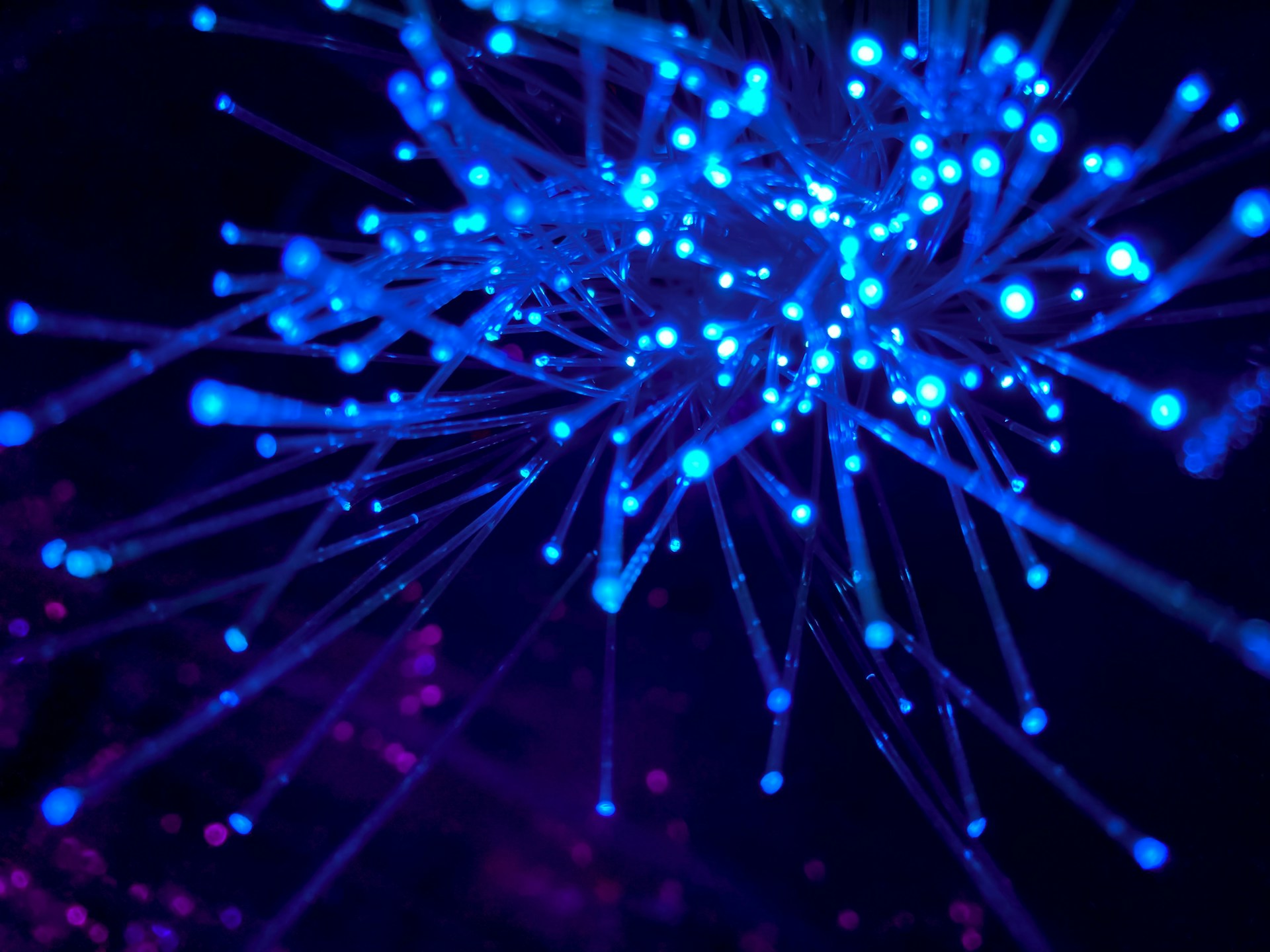 Blue fiber optic network connections representing IT infrastructure